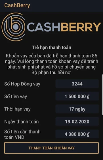 CashBerry.vn